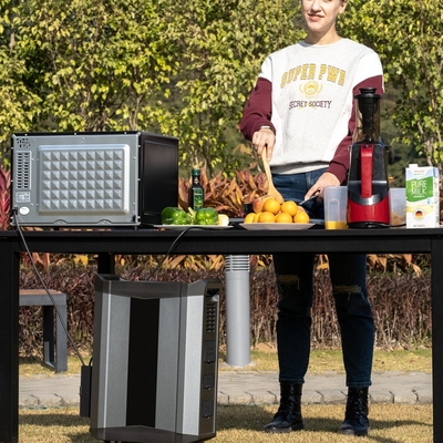 OEM LiFePO4 Pil 2500W Hibrit 2500w Güneş Sistemi Paneli Çok İşlevli